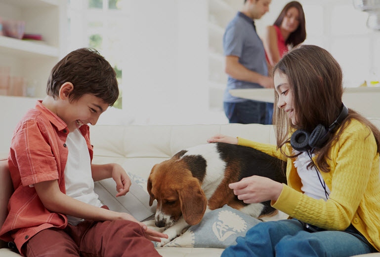 Foote Insurance American Fork, UT