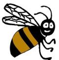 Bee Safe in Boulder City
