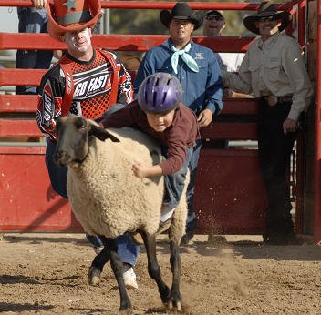 Sr. Pro Rodeo 2008