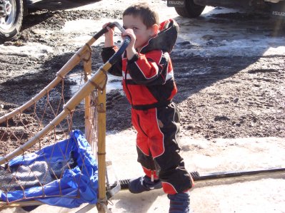 At the Dog Sled Races 2009