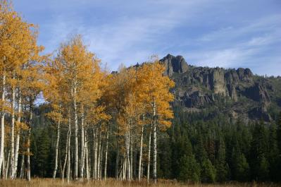 Fall colors at Ruffa Ranch