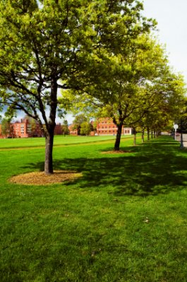 Oregon State University Campus