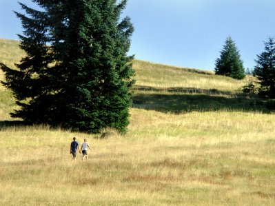 Open Space abounds