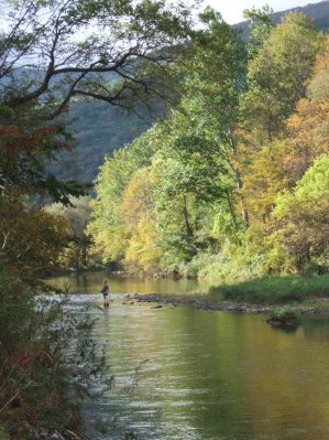 Fly Fishing along the Dry Brook Stream