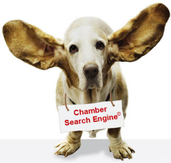 Chamber Search Engine