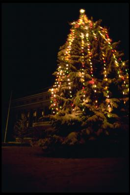Tree Lighting in Quincy