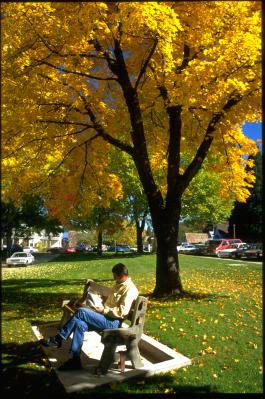 Relaxing in Front of Plumas County Courthouse in Fall