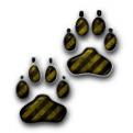 Canyon Pawz Pet Services
