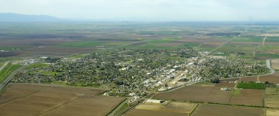Aerial View of Willows