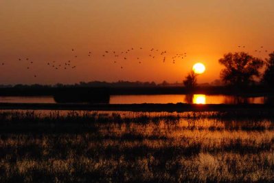 Refuge Sunrise