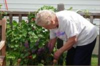 Westview assisted living