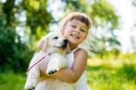 the puppy store vineyard